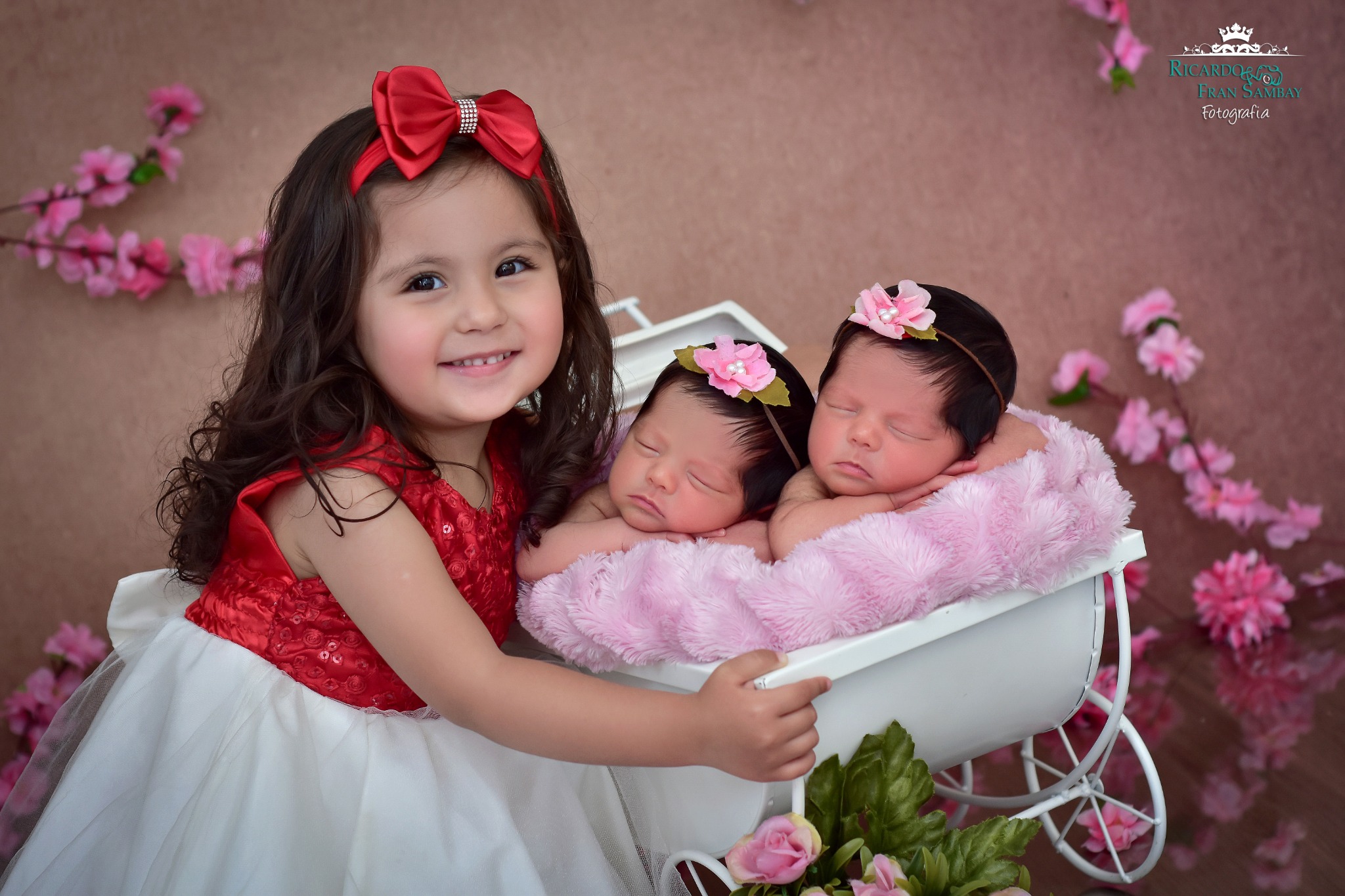 Newborn Gêmeos — Ricardo e Fran Sambay Fotografia