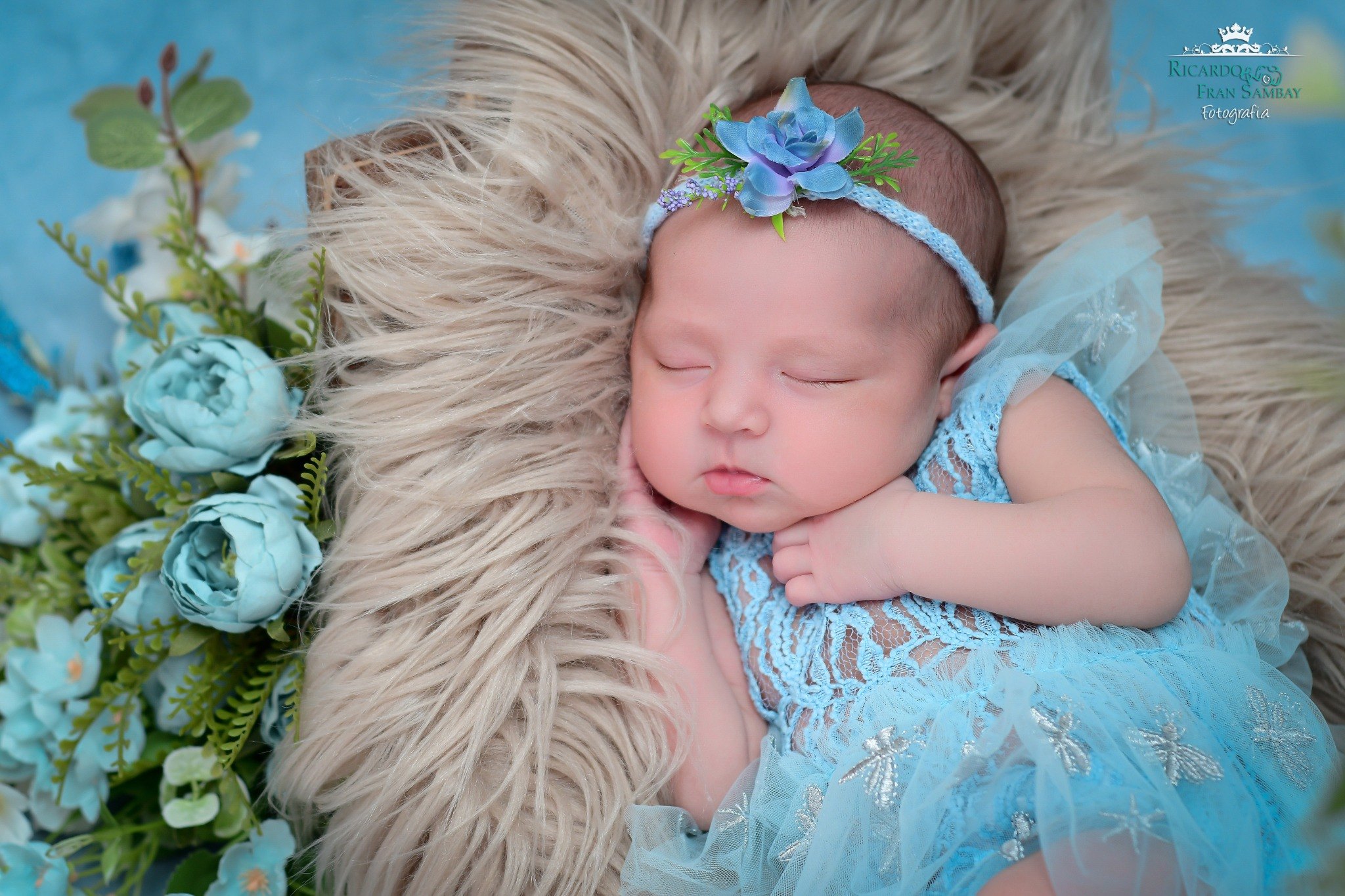 Fotografia do estúdio — Newborn Meninas